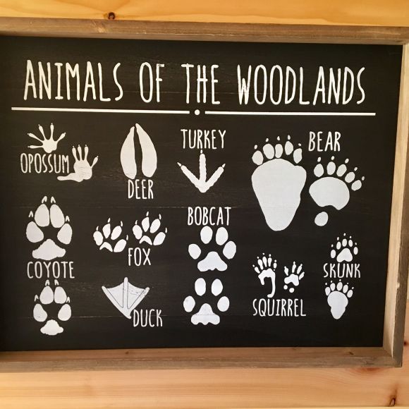 Plaque inside cabin